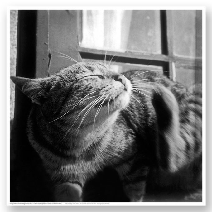 Fotografia_estampas-1